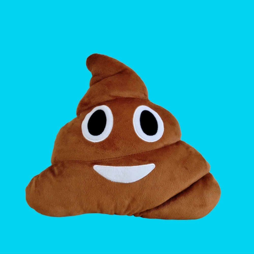 Smiling Pile of Poo Emoji Pillow Throw Accent Brown Stuffed Animal Kids Teen